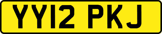 YY12PKJ