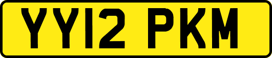 YY12PKM