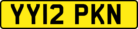 YY12PKN