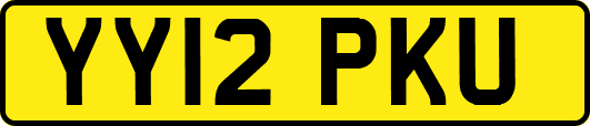 YY12PKU