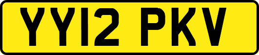YY12PKV