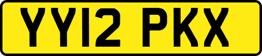YY12PKX