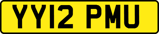 YY12PMU
