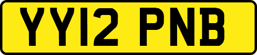 YY12PNB