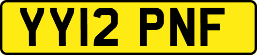 YY12PNF