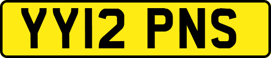 YY12PNS