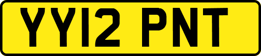 YY12PNT