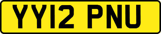 YY12PNU