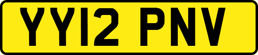 YY12PNV
