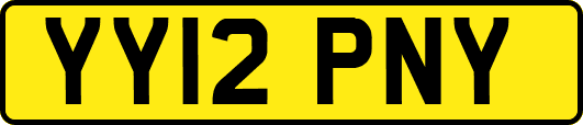 YY12PNY