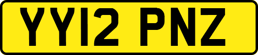 YY12PNZ