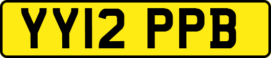 YY12PPB