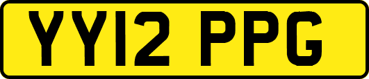 YY12PPG