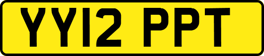 YY12PPT