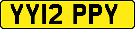 YY12PPY