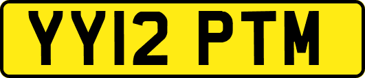 YY12PTM