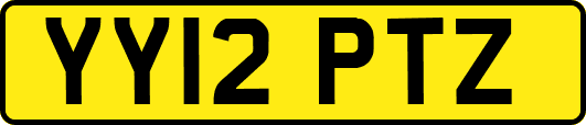 YY12PTZ