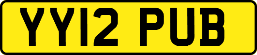 YY12PUB