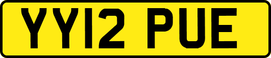 YY12PUE