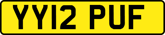 YY12PUF