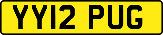 YY12PUG