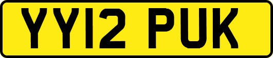 YY12PUK
