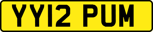 YY12PUM