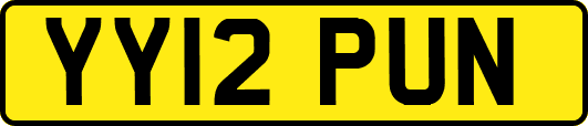 YY12PUN