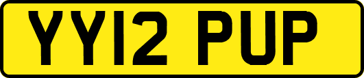 YY12PUP