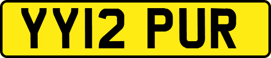 YY12PUR