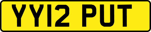 YY12PUT