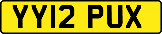 YY12PUX