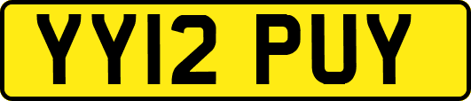 YY12PUY