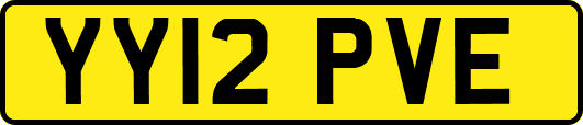 YY12PVE