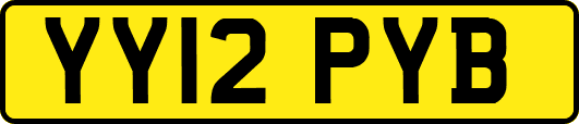 YY12PYB