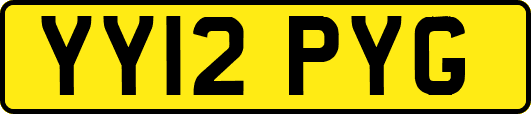 YY12PYG
