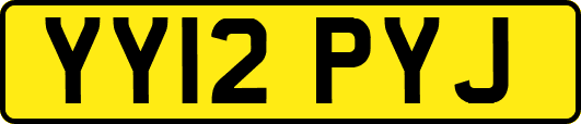 YY12PYJ