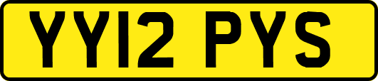 YY12PYS