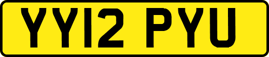 YY12PYU