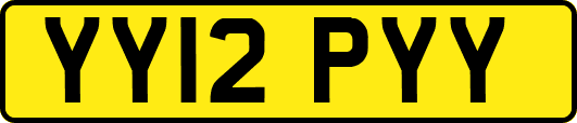 YY12PYY