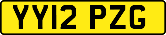 YY12PZG