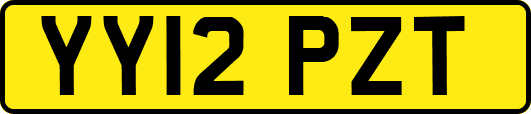 YY12PZT