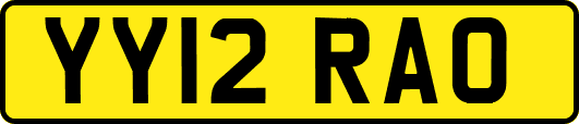 YY12RAO