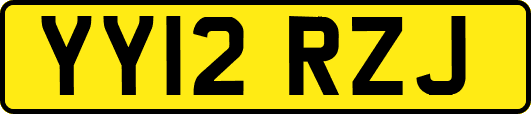 YY12RZJ