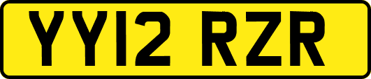 YY12RZR