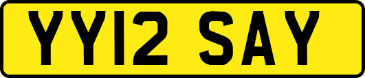 YY12SAY