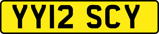 YY12SCY
