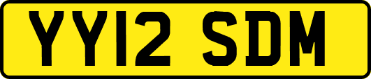 YY12SDM