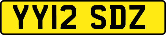 YY12SDZ