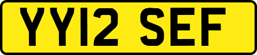 YY12SEF